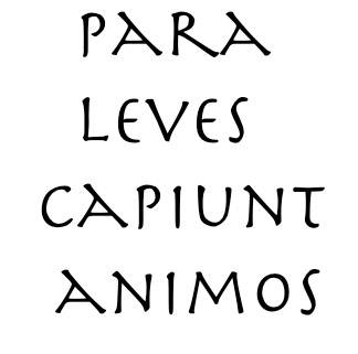 para leves capiunt animos little things amuse little minds - Ovid