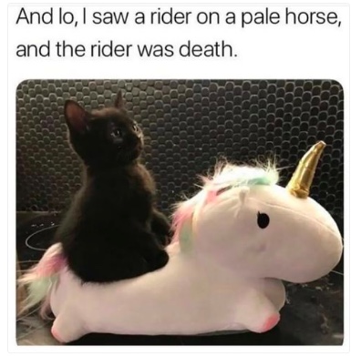 A black kitten sits on the back of a unicorn stuffie with the label And lo, I saw a rider on a pale horse and the rider was death.
